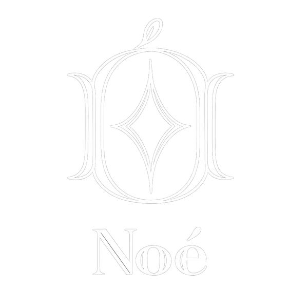 Noé Studios
